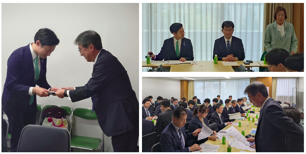 自民党提言模様 自民党提言模様