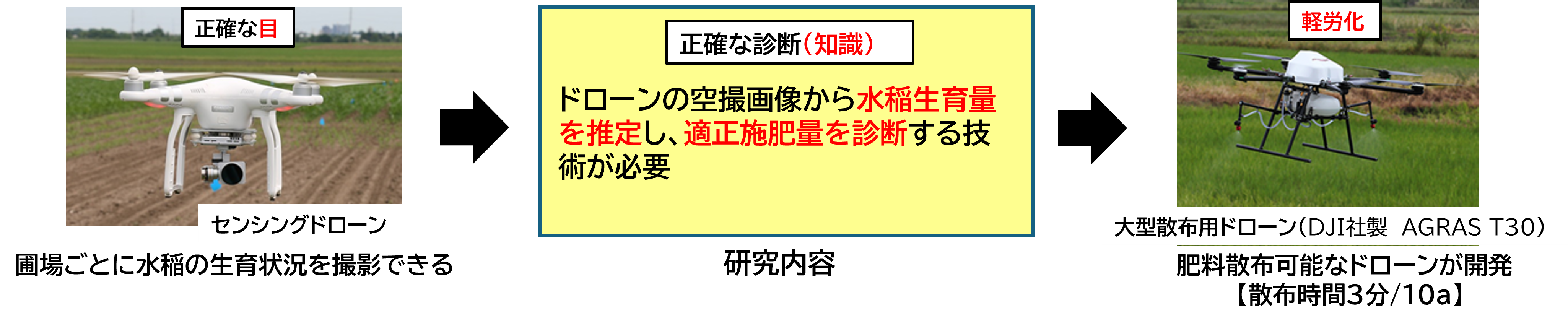 福井県農業試験場ドローンセンシング施肥